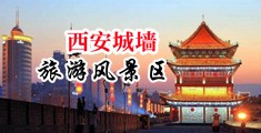 自慰动态图老师中国陕西-西安城墙旅游风景区